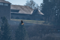 2020_03_26-14_00_38_28