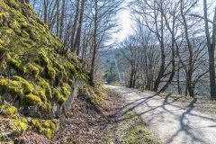 2020_03_26-14_37_47_40