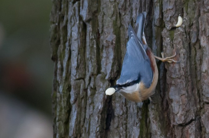 2015_02_16-17_13_04_13