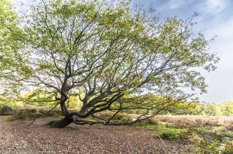 2022-10-28_13-40-56-7