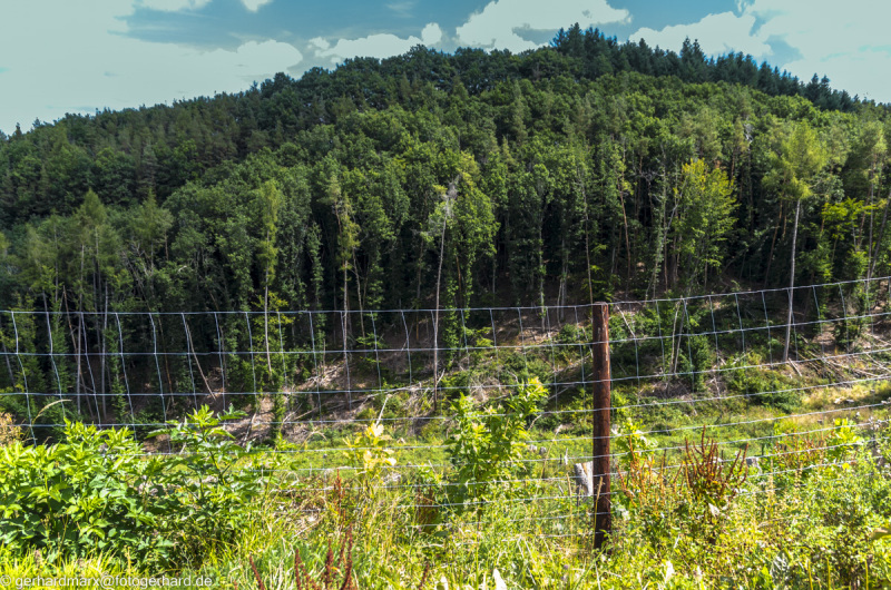 2022-08-06_12-30-31-1