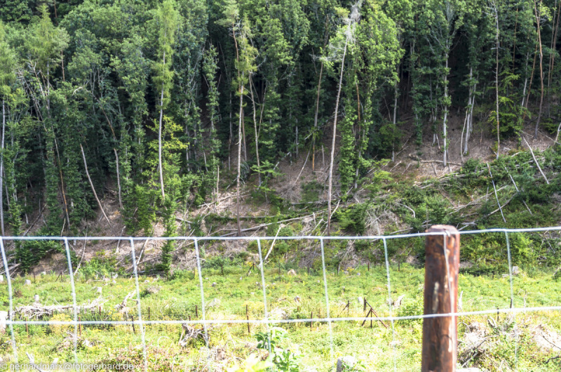 2022-08-06_12-30-42-2