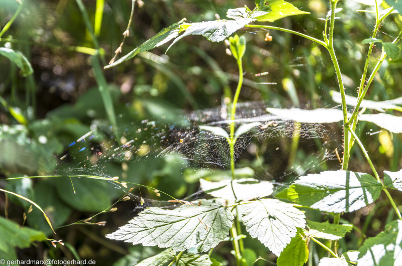 2022-08-06_13-21-08-11