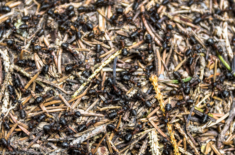 2022-08-06_13-25-44-12