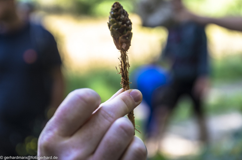 2022-08-06_13-31-34-13