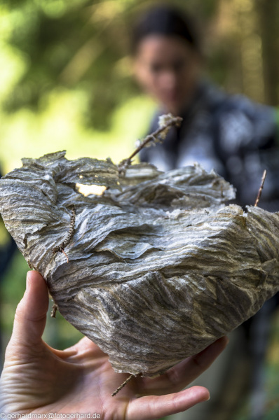 2022-08-06_13-33-54-14