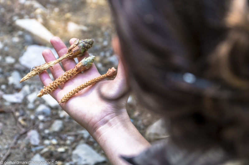 2022-08-06_13-35-34-15