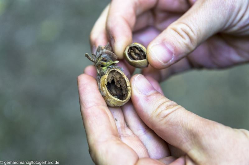 2022-08-06_13-41-20-16