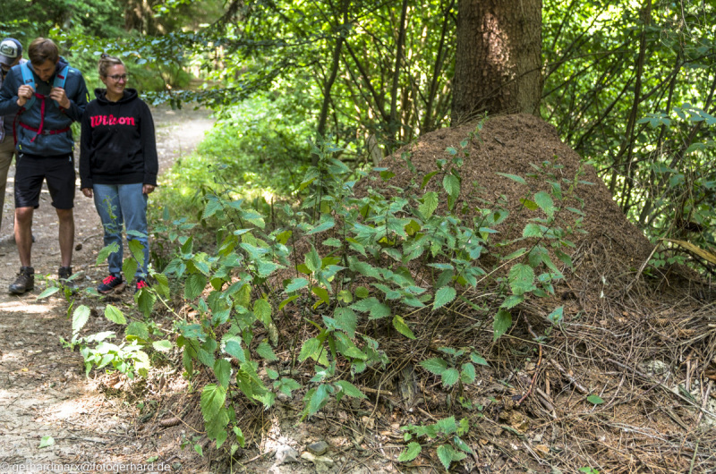 2022-08-06_13-51-02-17