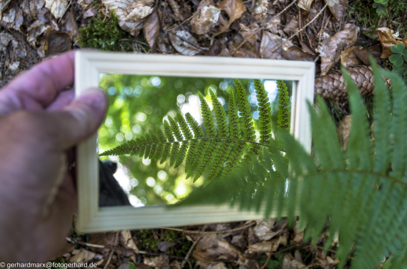 2022-08-06_14-01-31-18