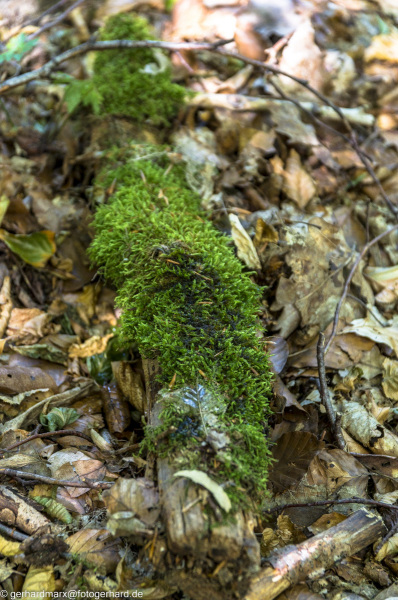 2022-08-06_14-46-12-20