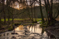 Eifgenbachtal