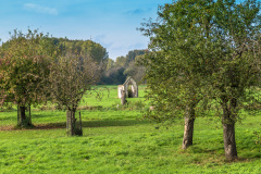 Siegaue