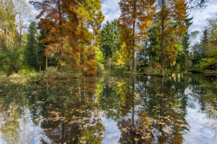 Museums Insel Hombroich