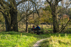Museums Insel Hombroich