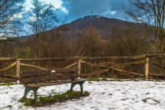 Blick auf den Ölberg