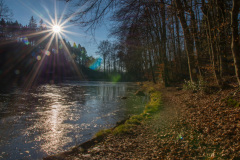 Naturschutzgebiet Hardt, Kadettenweiher