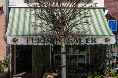 Fleurs Sauer, Weißenburg
