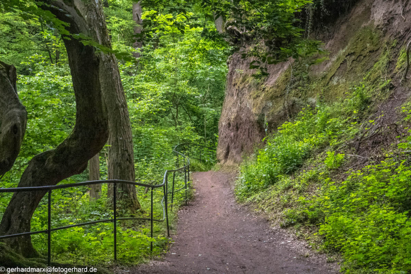 2024-06-05_12-59-19-1