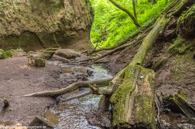 2024-06-05_13-12-39-4