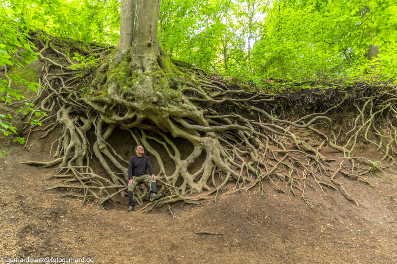 2024-06-05_13-23-35-8