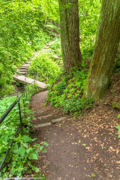 2024-06-05_13-34-55-9