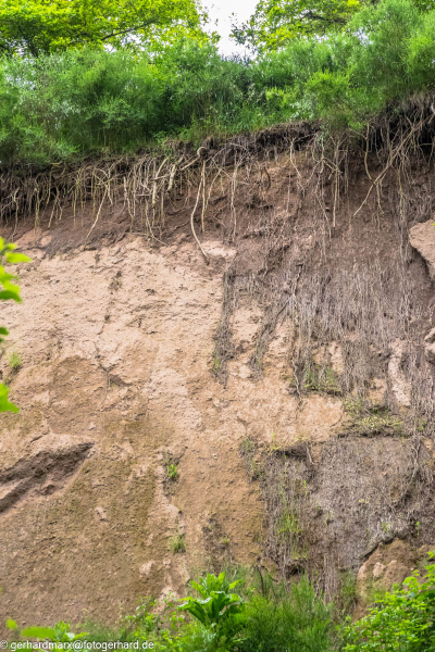 2024-06-05_13-39-07-10