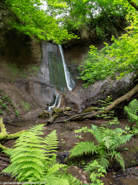 2024-06-05_13-42-28-11