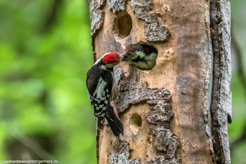 2024-06-05_15-07-25-20