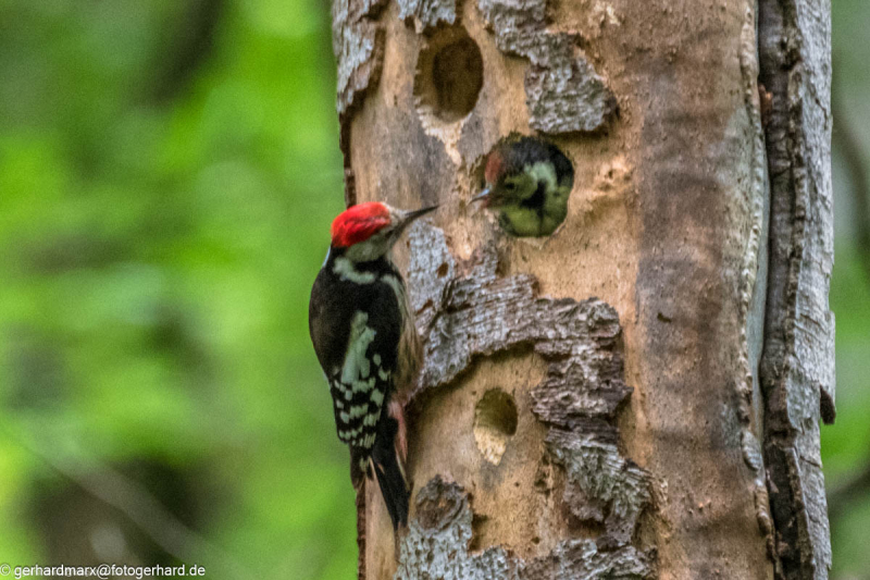 2024-06-05_15-07-29-21