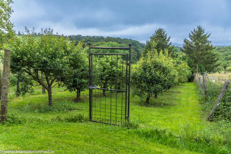 2024-06-05_15-33-42-24