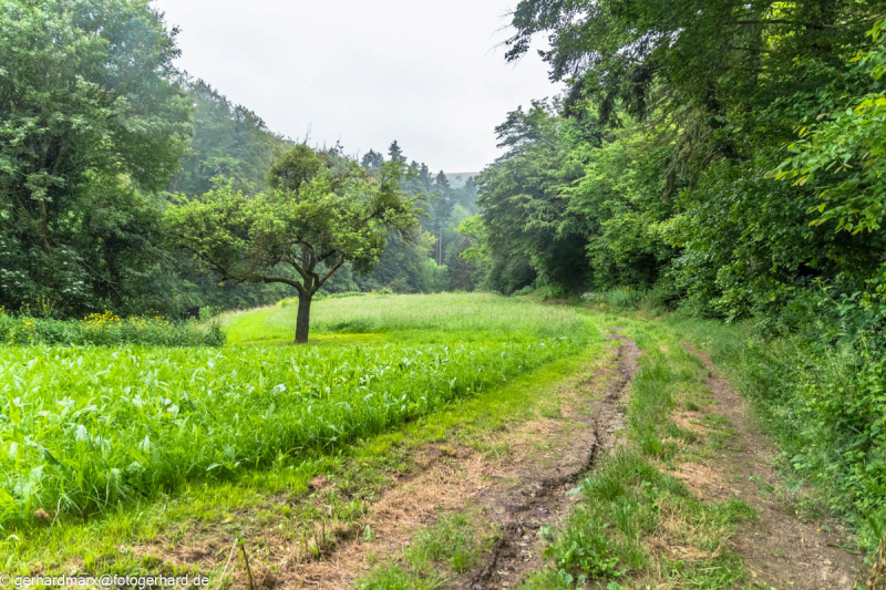 2024-06-05_15-49-14-27