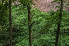 2024-06-05_12-59-49-2