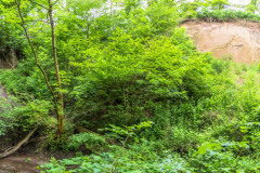 2024-06-05_13-44-21-12