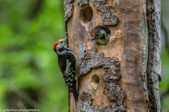 2024-06-05_15-07-30-22