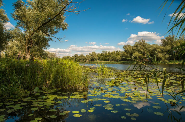 Nationalpark unteres Odertal, Schwedt