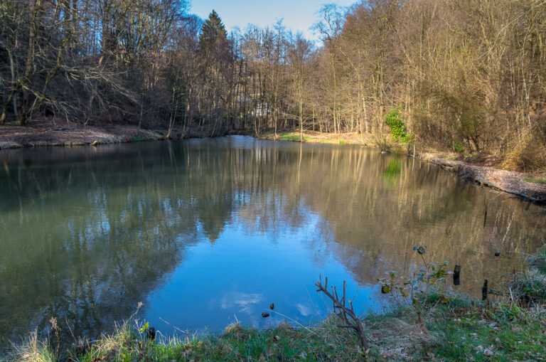 Gelpetal bei Ronsdorf