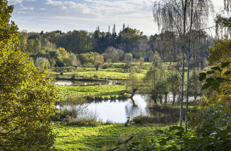 Erft – Museums Insel Hombroich