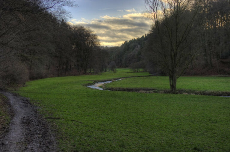 Eifgenbachtal