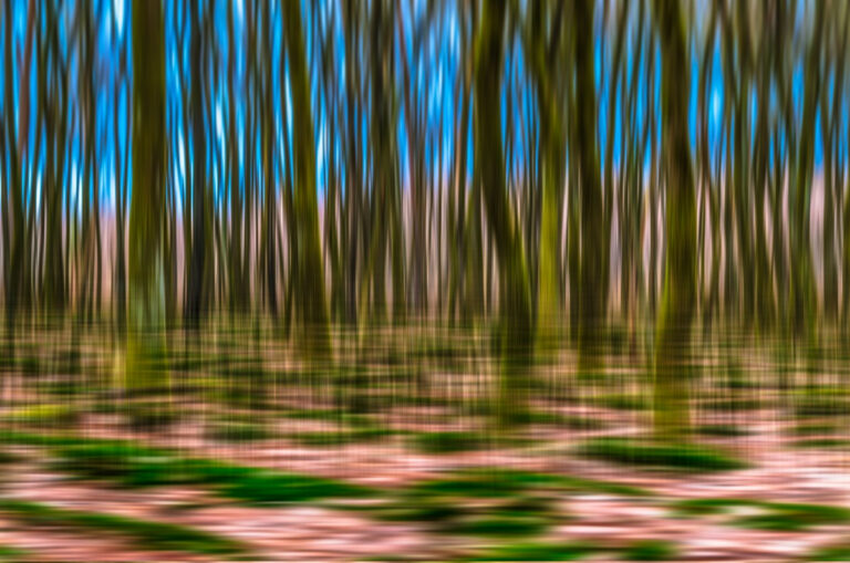 Fotokunst: Silence