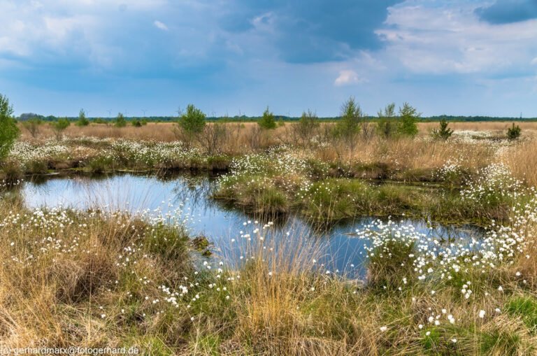 Oppenweher Moor