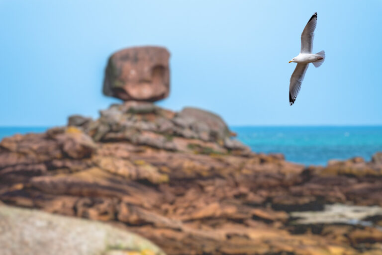 Bretagne – Tregastel – Cote Granit Rosé
